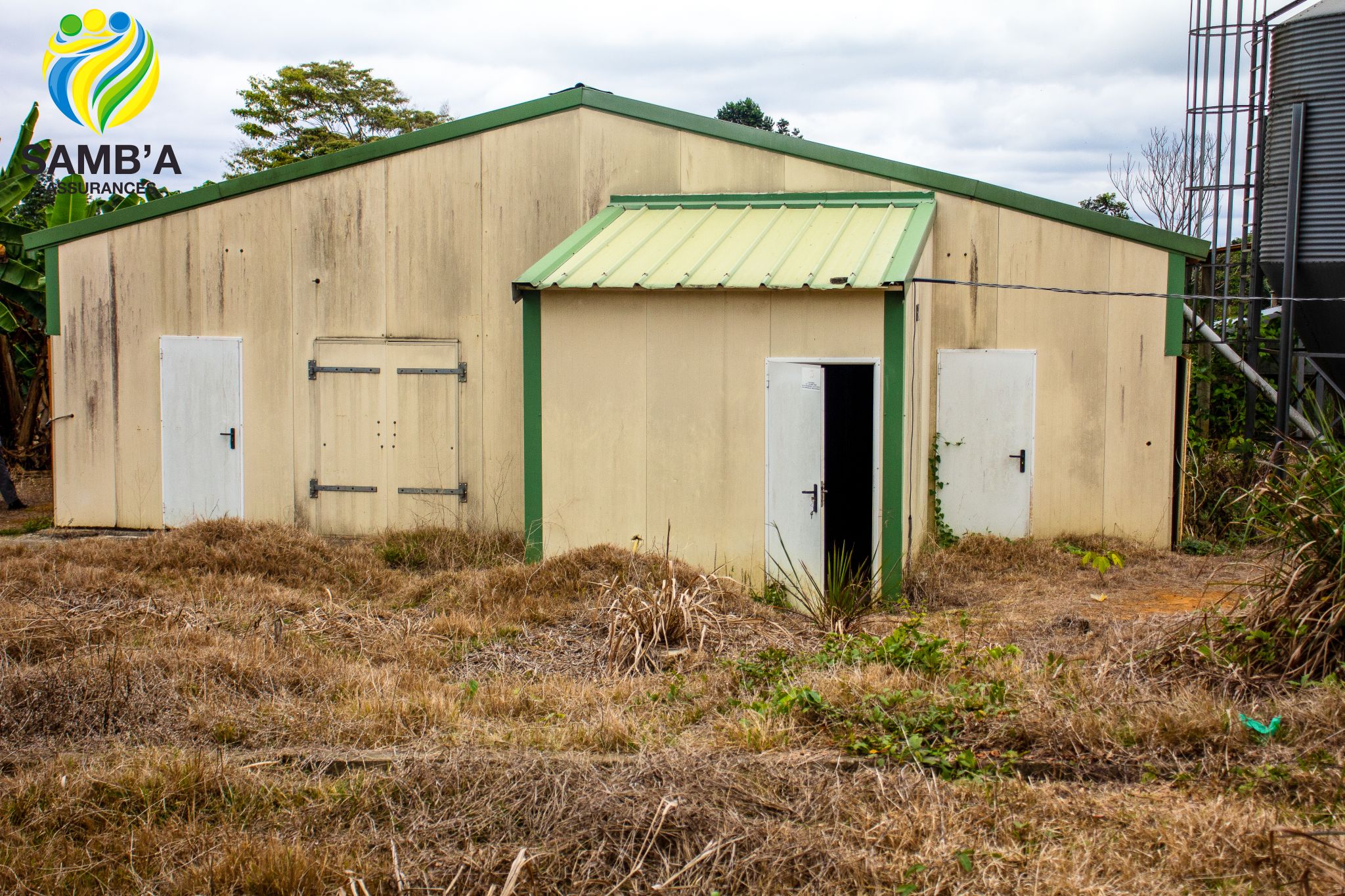 Gallery image